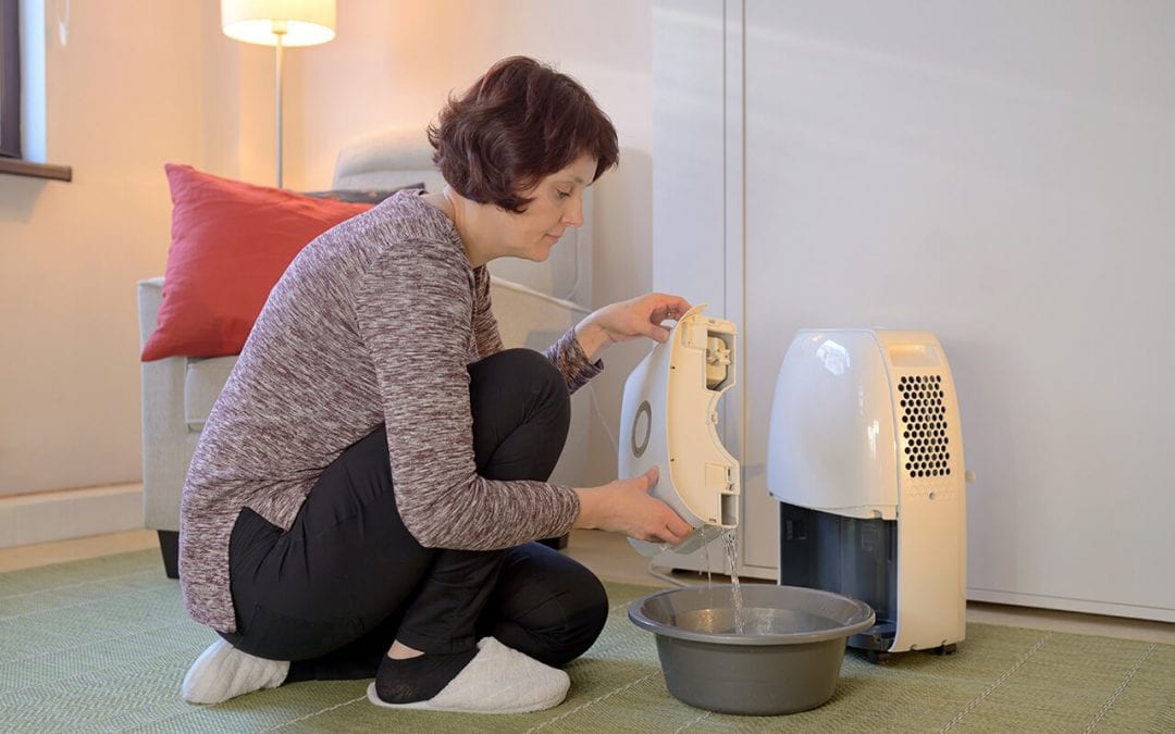 improve indoor air quality with a dehumidifier