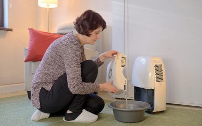 Improve Indoor Air Quality at Home