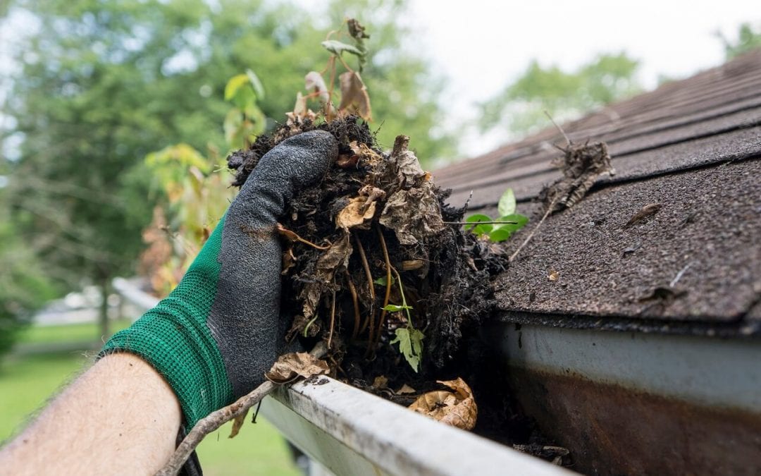 How to Clean Your Gutters